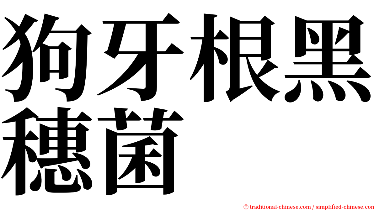 狗牙根黑穗菌 serif font