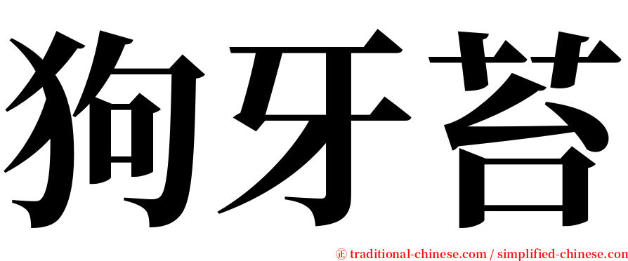 狗牙苔 serif font