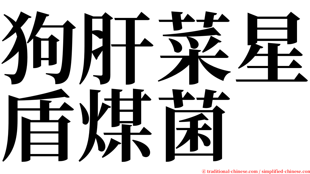 狗肝菜星盾煤菌 serif font