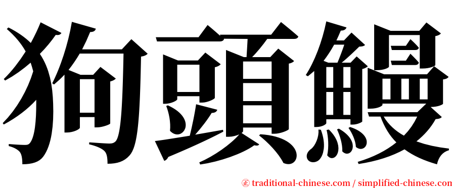 狗頭鰻 serif font