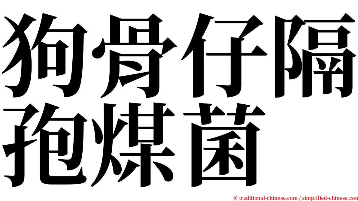 狗骨仔隔孢煤菌 serif font