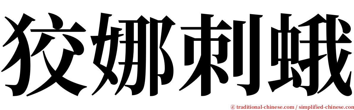 狡娜刺蛾 serif font