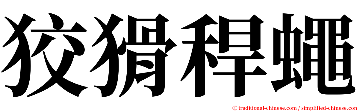 狡猾稈蠅 serif font