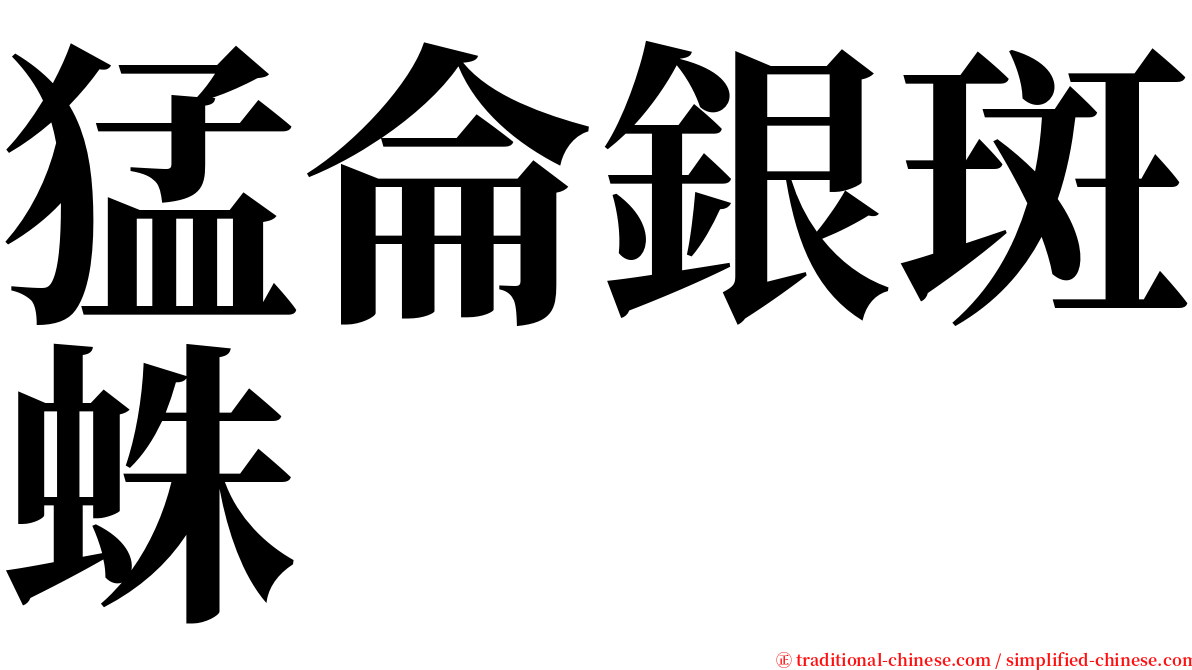 猛侖銀斑蛛 serif font