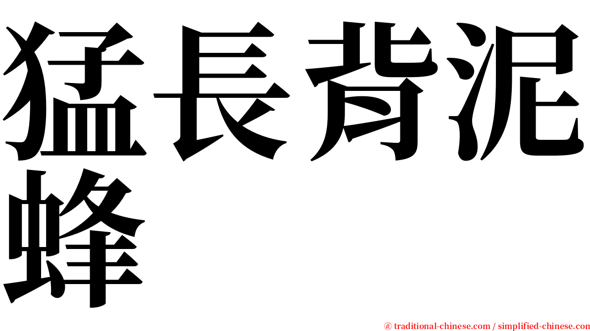 猛長背泥蜂 serif font