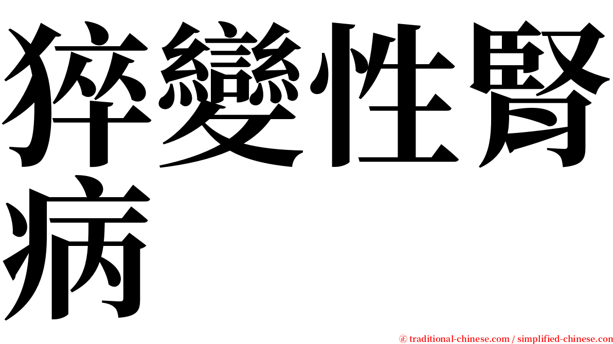 猝變性腎病 serif font