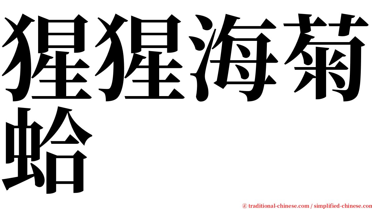 猩猩海菊蛤 serif font