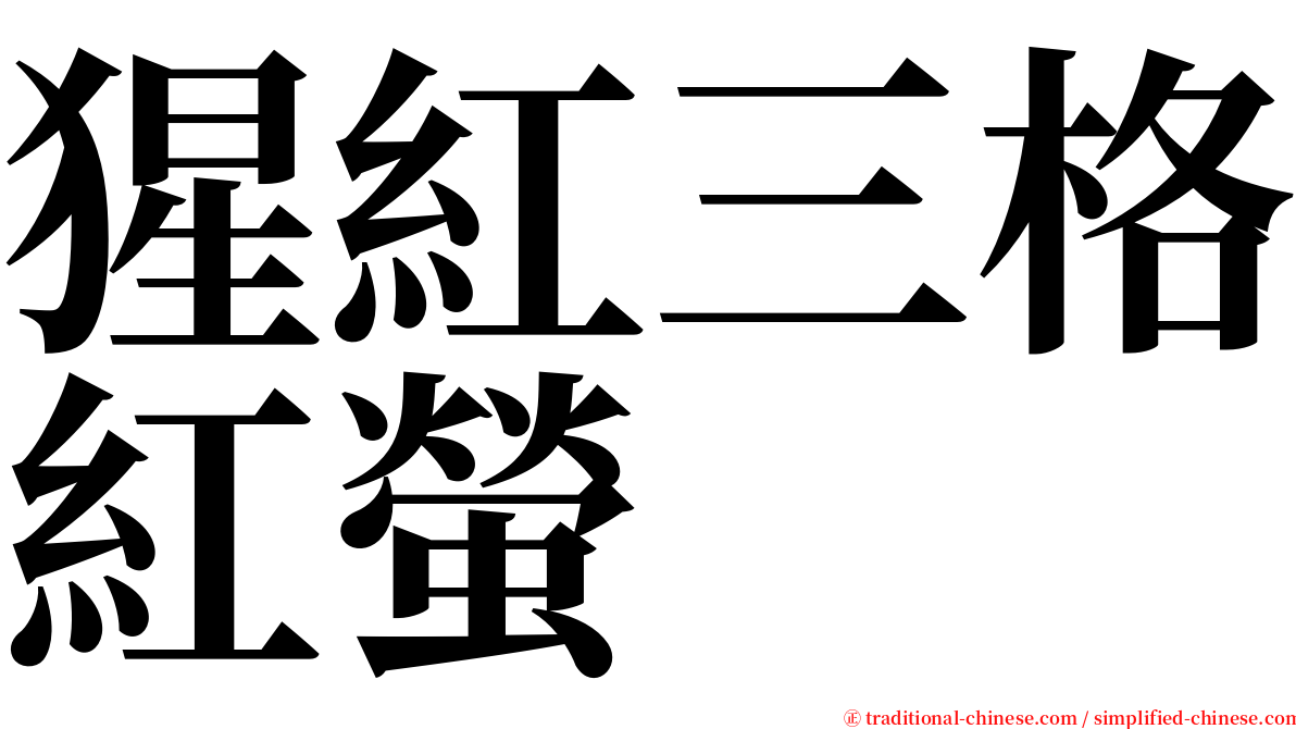 猩紅三格紅螢 serif font