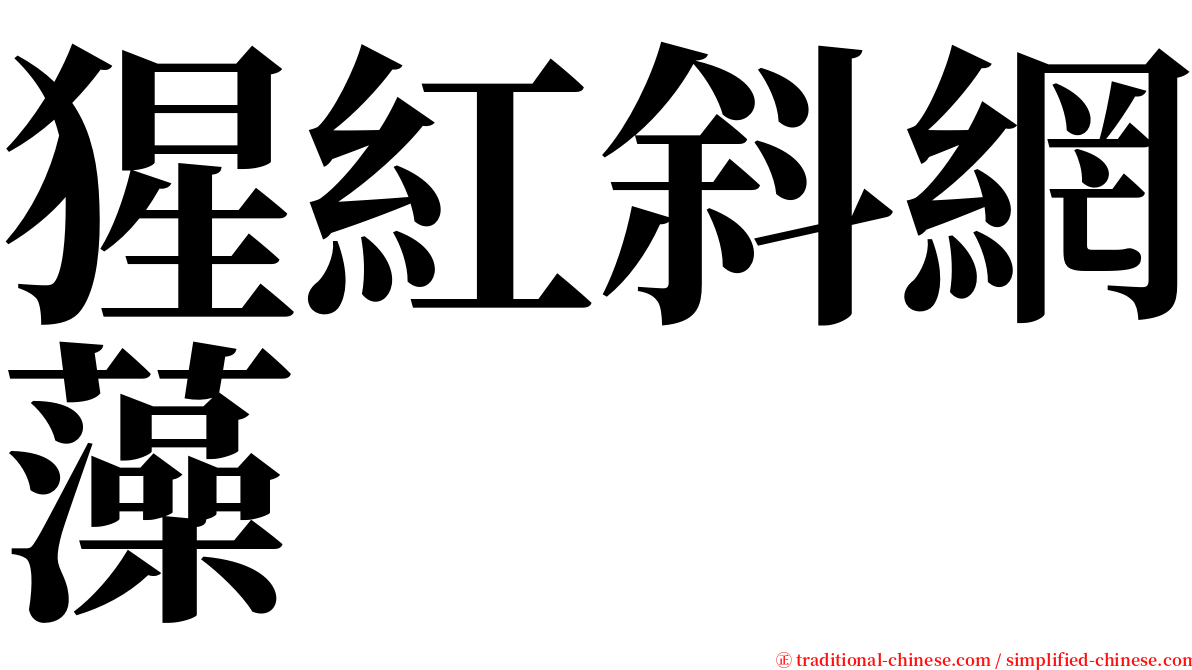 猩紅斜網藻 serif font