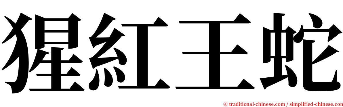 猩紅王蛇 serif font