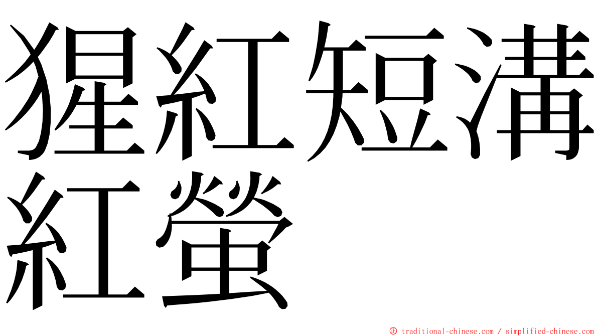 猩紅短溝紅螢 ming font