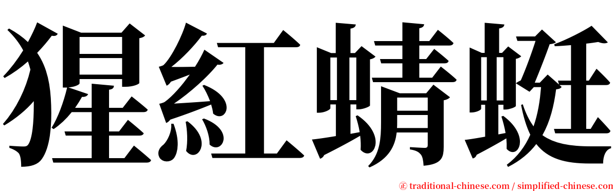 猩紅蜻蜓 serif font