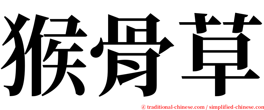 猴骨草 serif font