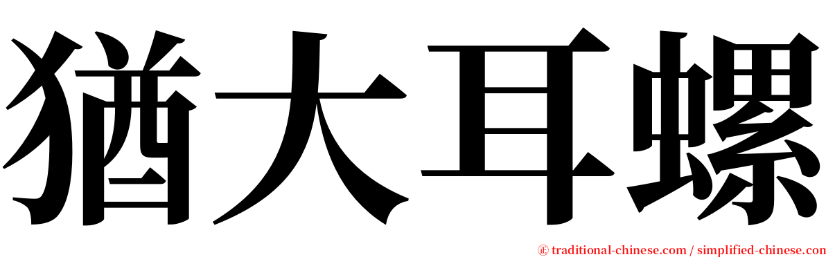 猶大耳螺 serif font