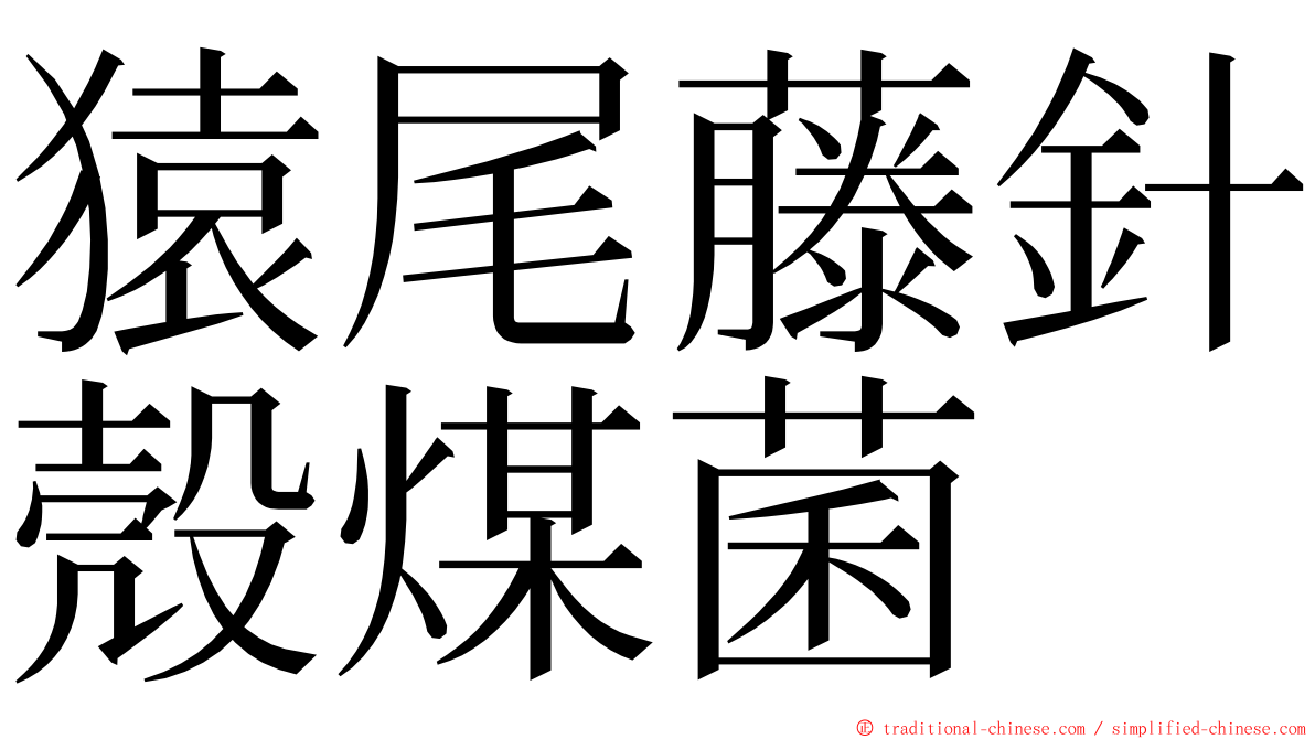 猿尾藤針殼煤菌 ming font