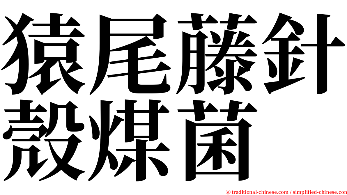 猿尾藤針殼煤菌 serif font