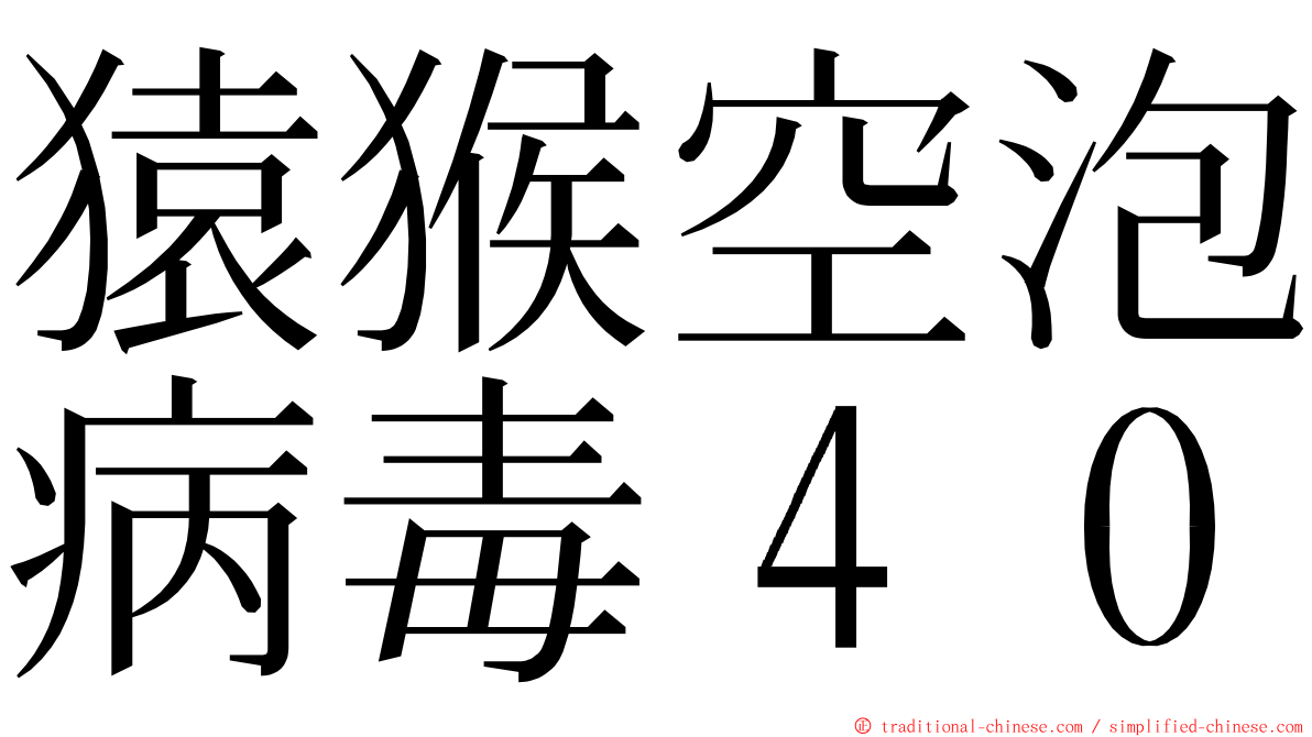 猿猴空泡病毒４０ ming font