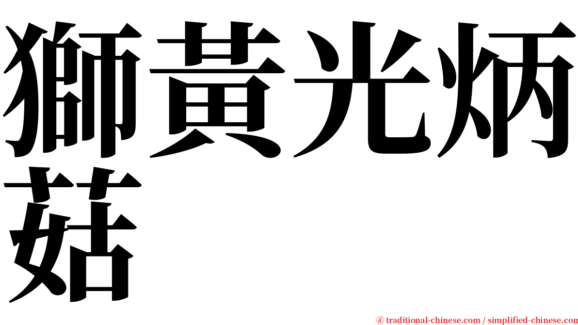 獅黃光炳菇 serif font