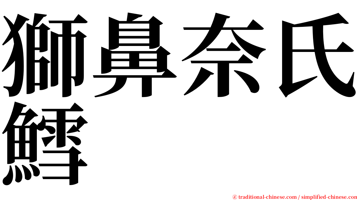 獅鼻奈氏鱈 serif font
