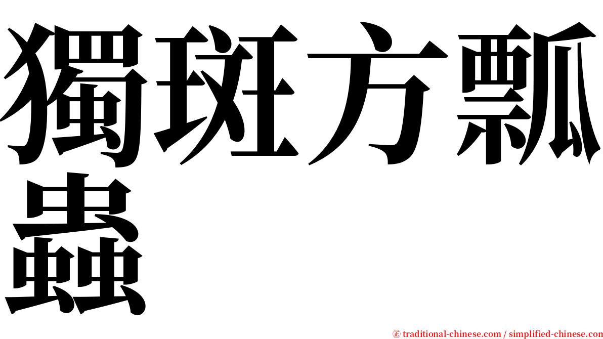 獨斑方瓢蟲 serif font