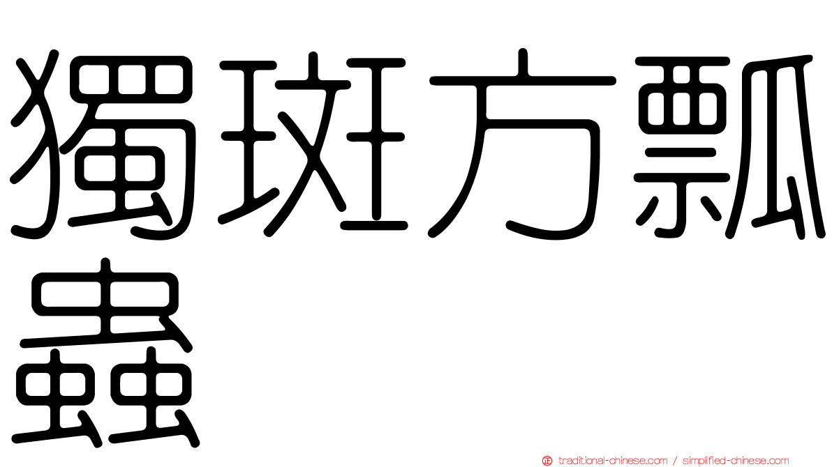獨斑方瓢蟲