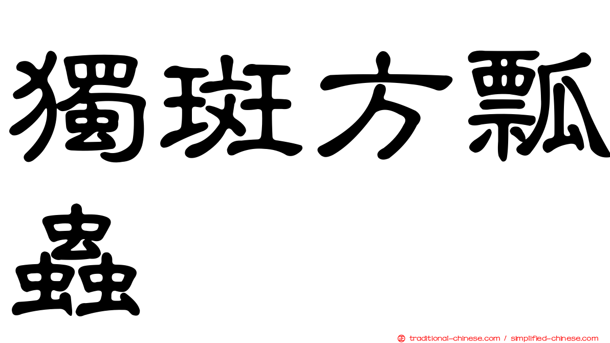 獨斑方瓢蟲