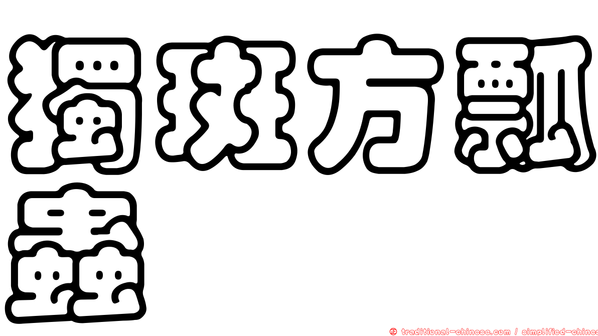 獨斑方瓢蟲