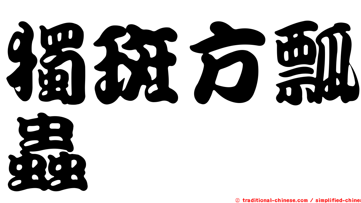 獨斑方瓢蟲