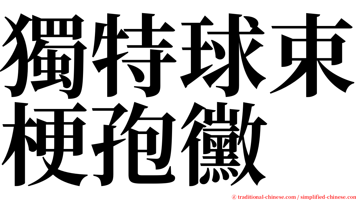 獨特球束梗孢黴 serif font