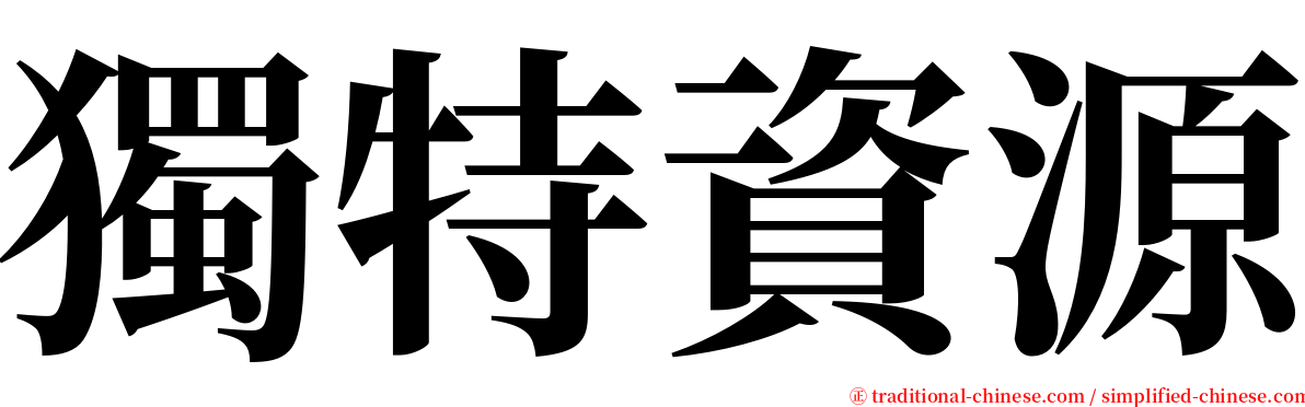 獨特資源 serif font