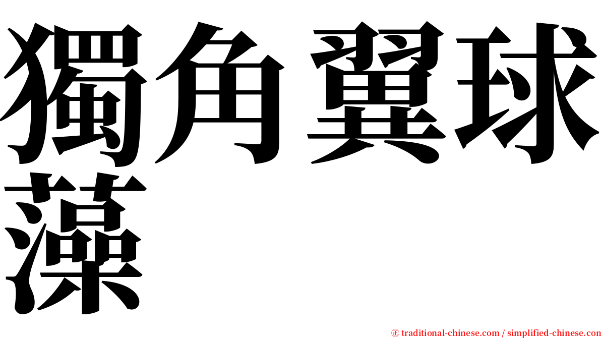 獨角翼球藻 serif font