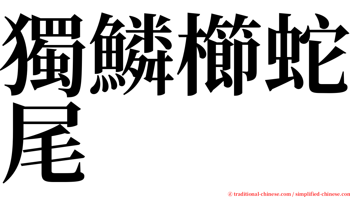 獨鱗櫛蛇尾 serif font