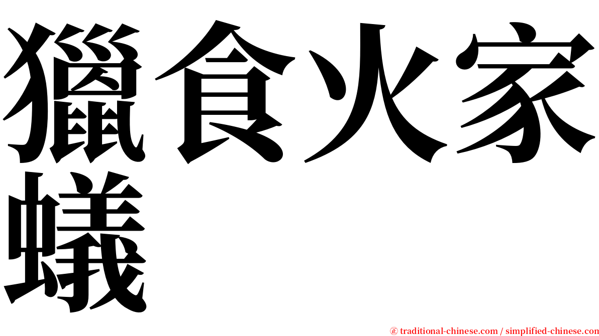 獵食火家蟻 serif font