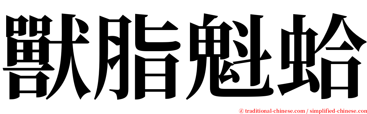 獸脂魁蛤 serif font