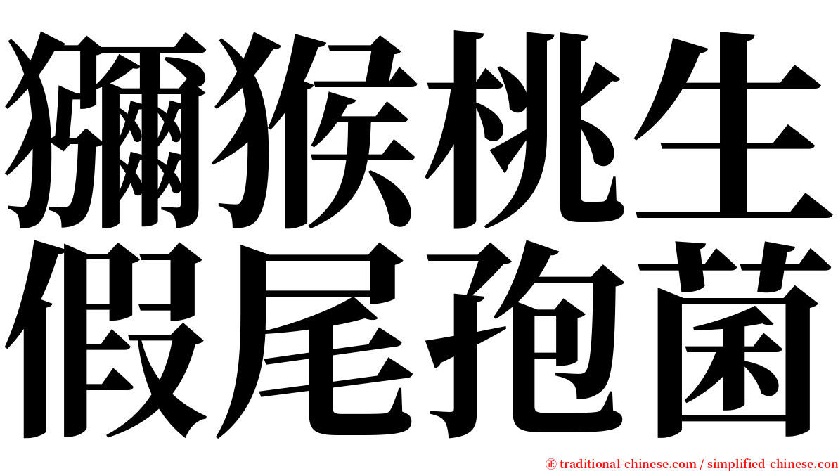 獼猴桃生假尾孢菌 serif font