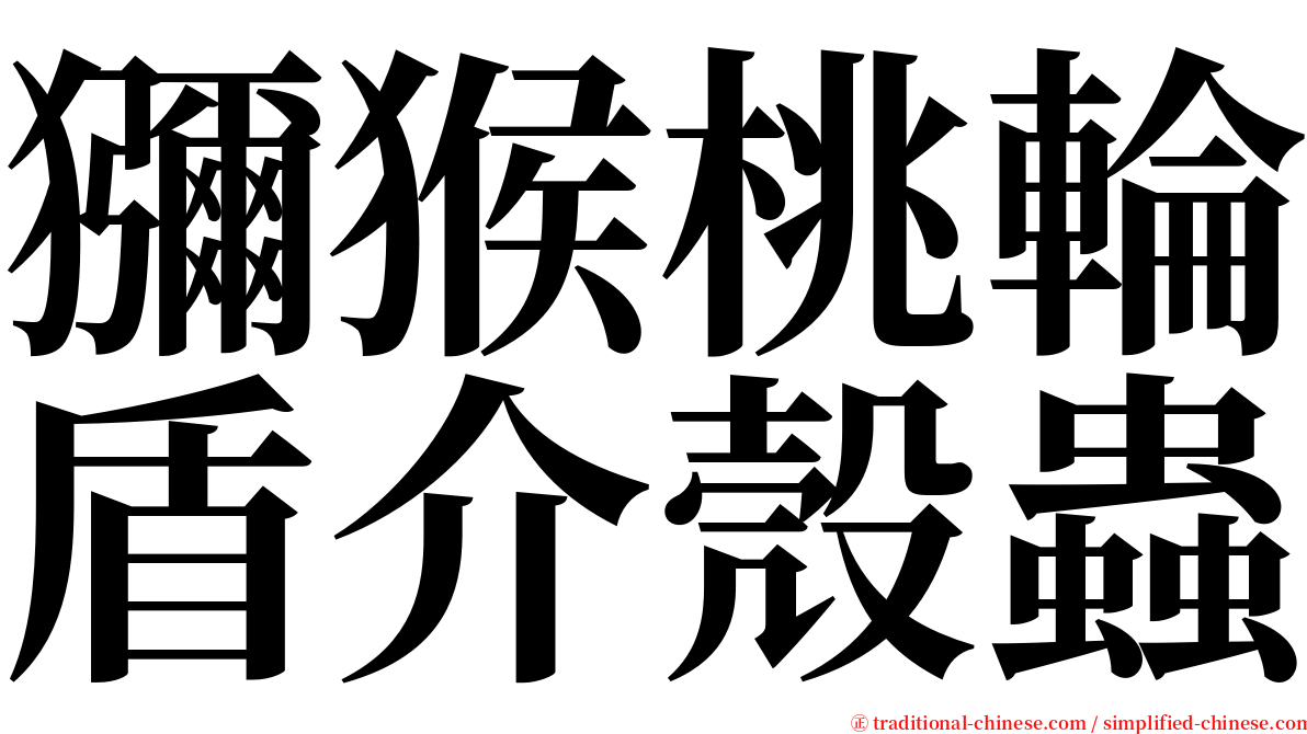 獼猴桃輪盾介殼蟲 serif font