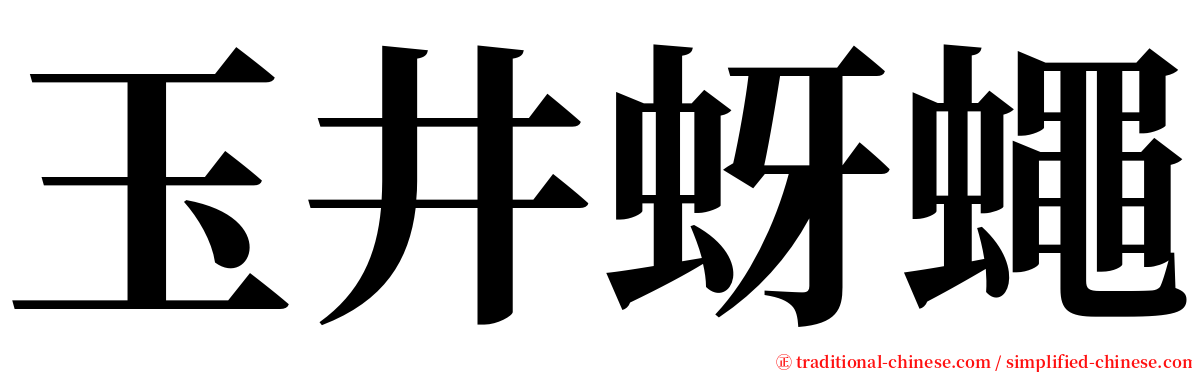 玉井蚜蠅 serif font