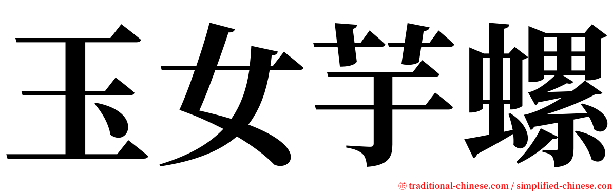 玉女芋螺 serif font