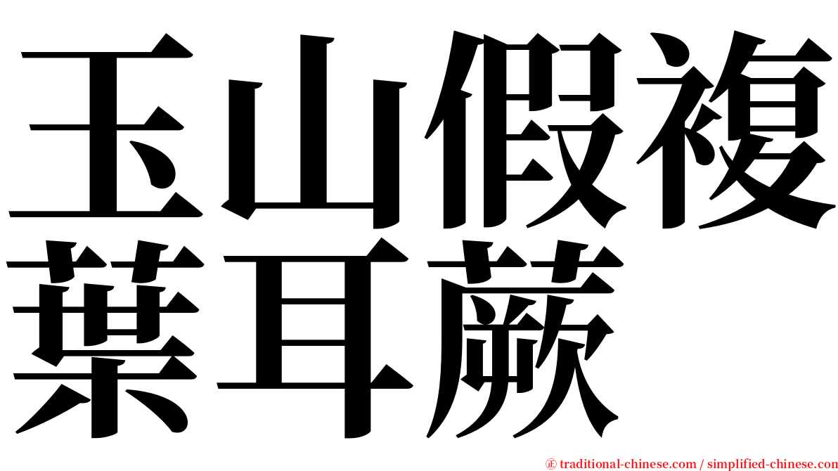 玉山假複葉耳蕨 serif font