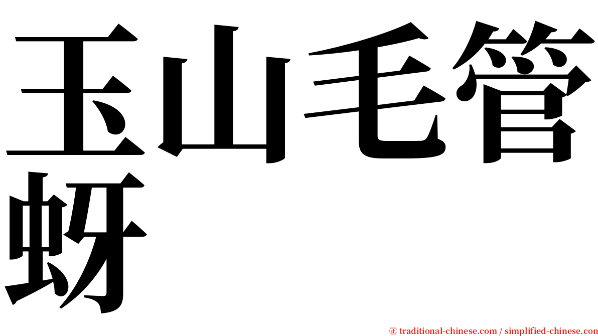 玉山毛管蚜 serif font