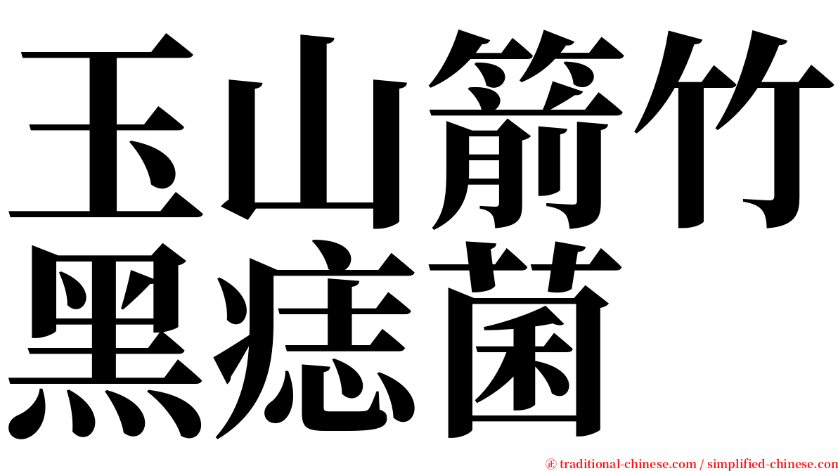 玉山箭竹黑痣菌 serif font