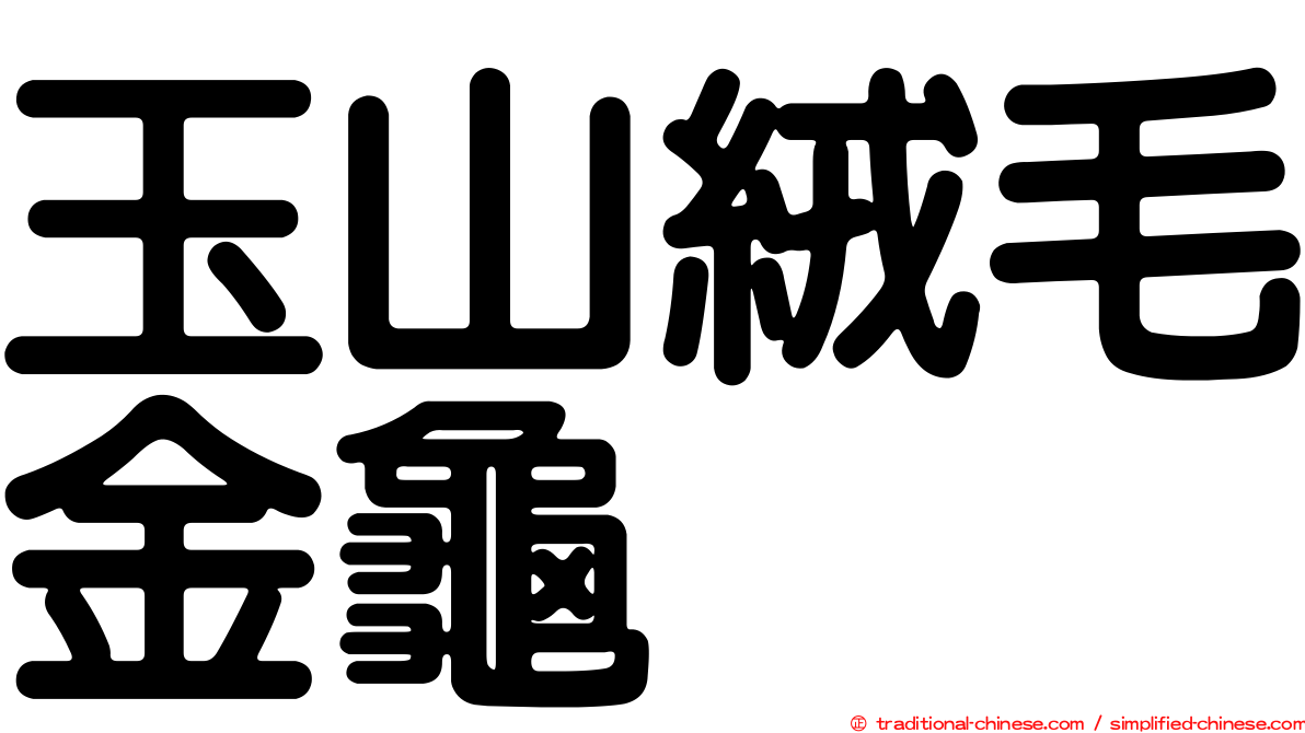 玉山絨毛金龜