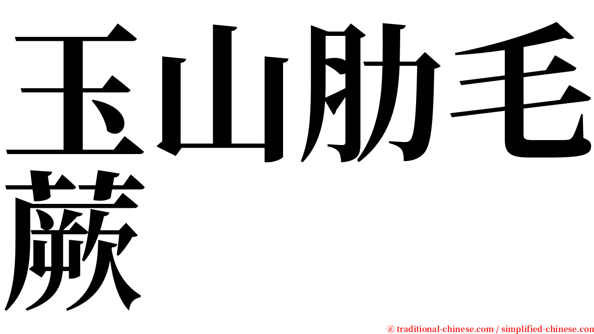 玉山肋毛蕨 serif font