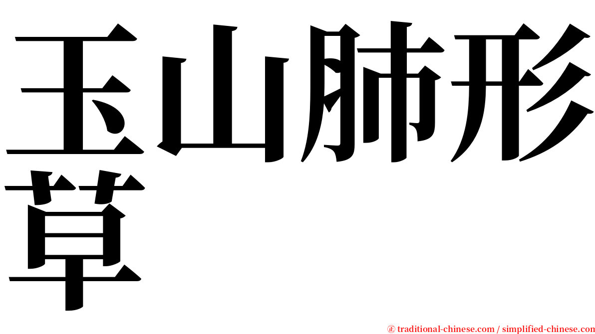 玉山肺形草 serif font