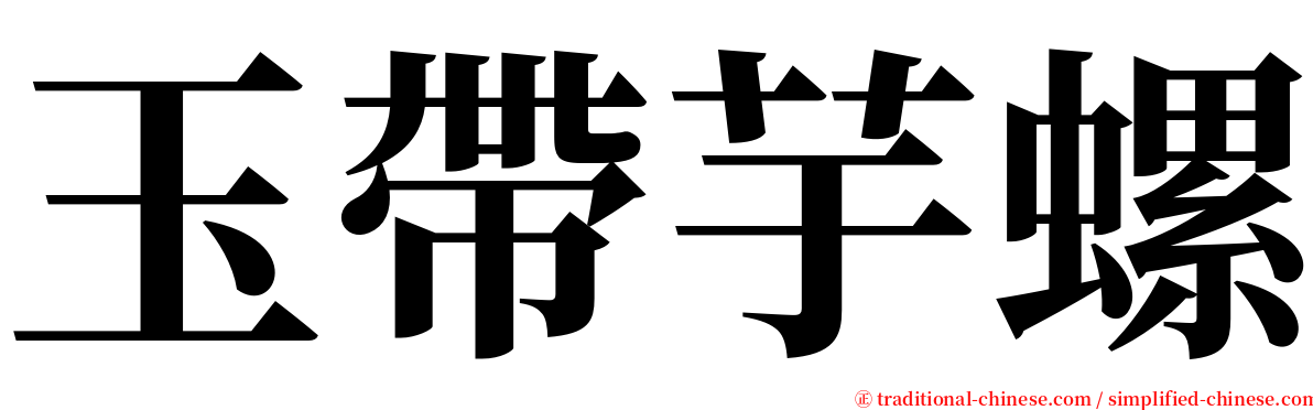 玉帶芋螺 serif font