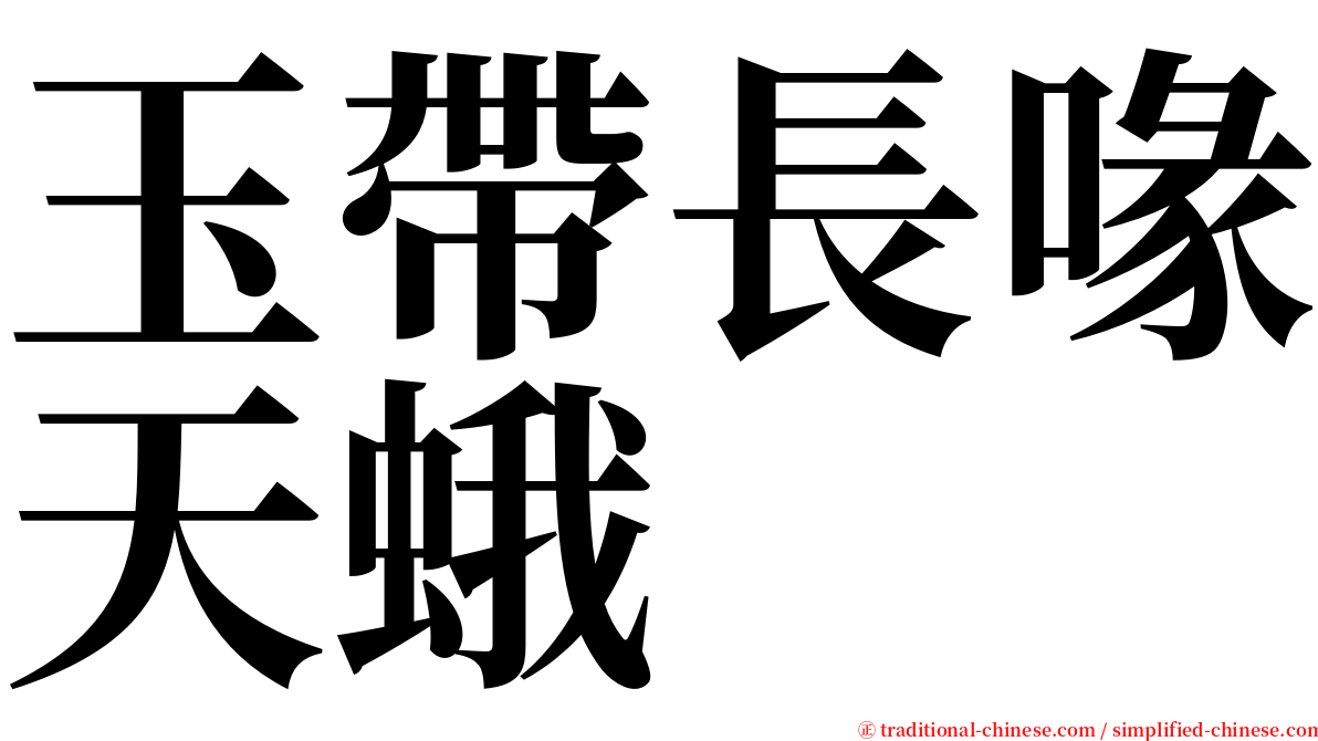 玉帶長喙天蛾 serif font