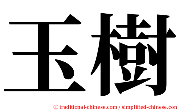 玉樹 serif font