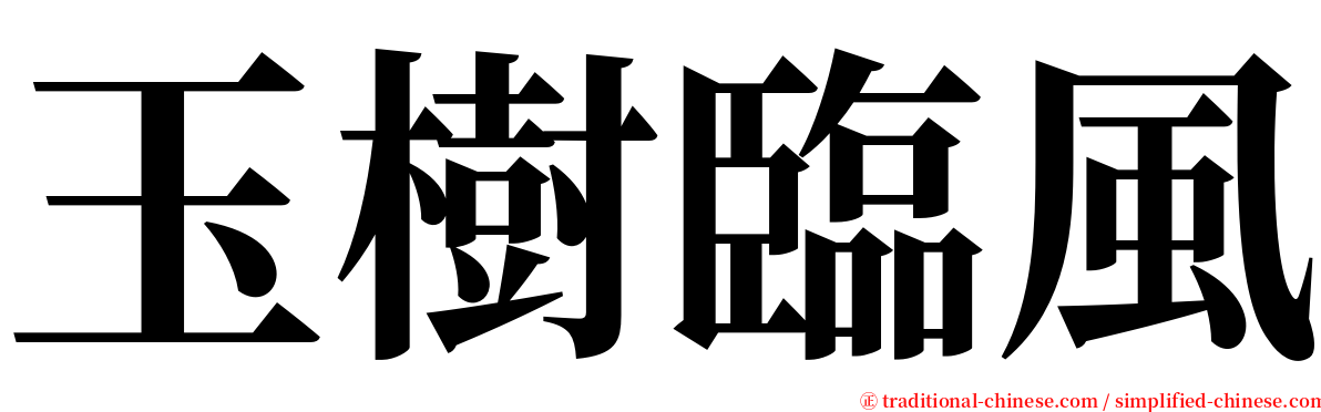 玉樹臨風 serif font