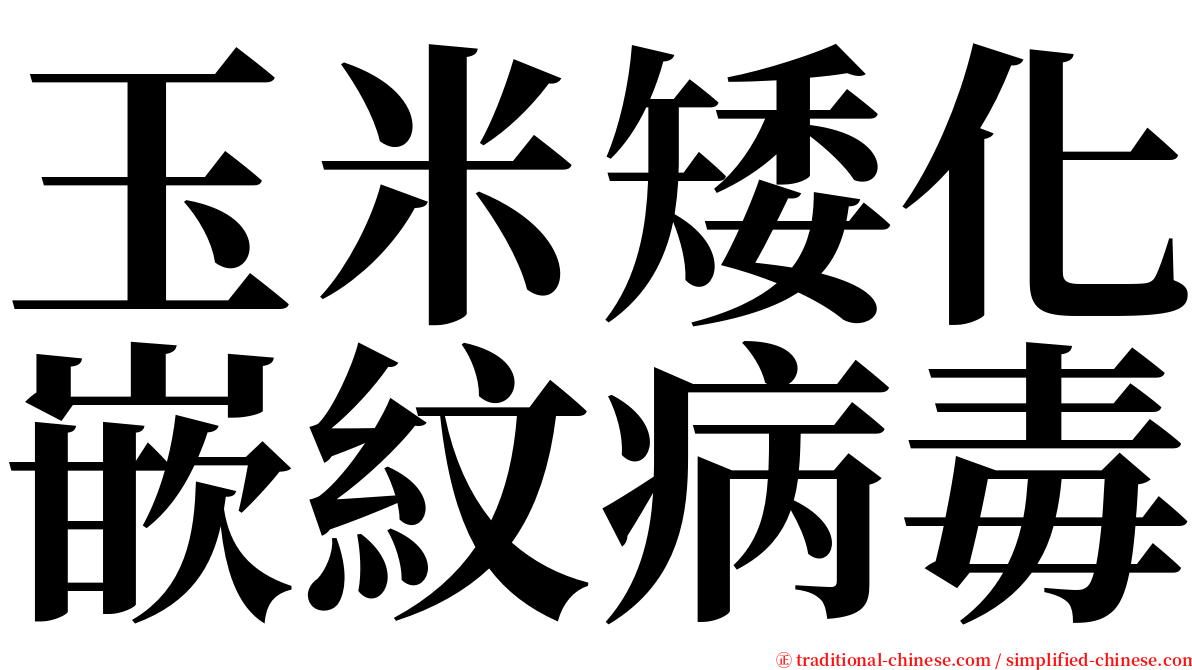 玉米矮化嵌紋病毒 serif font