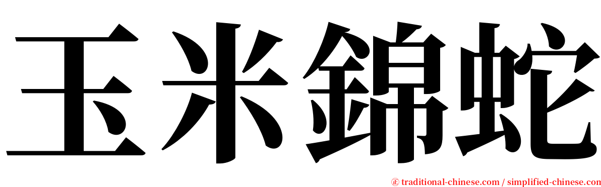 玉米錦蛇 serif font